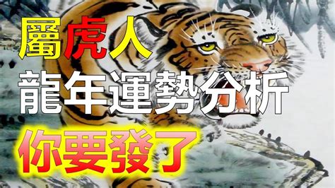 屬虎的幸運數字|【屬虎幸運數字】揭秘屬虎者的2024年幸運數字！使用這些數字。